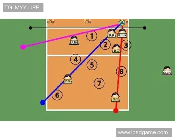 上海排球队的战术转型与深度解析探索排球运动的未来发展之路
